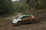 Skoda Fabia Super 2000 2011 года